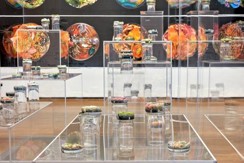 “Remote Sensing,” 2013-2018, 48 Rapid Prototype Sculptures, Plaster, Pigment, Resin, Glass Petri Dish, Glass Containers, 4 × 4 × 2 Inches 