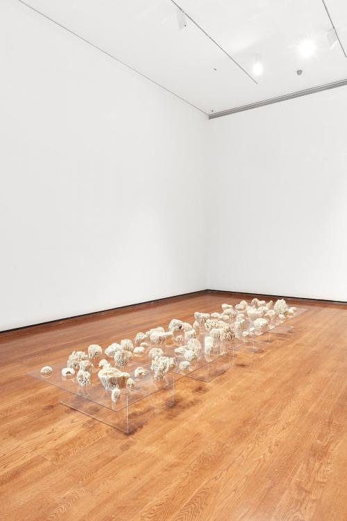 “Biota,” 2012, Porcelain, silver-leaf rapid prototype figurines, Plexiglas sheets, Overall dimensions:  4 × 16 × 20 inches
