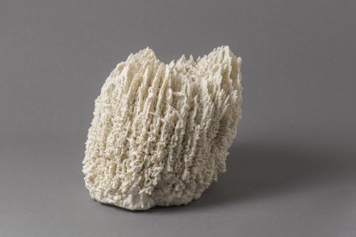 “Biota #111,” 2012, Porcelain, 6.5 × 7.5 × 5.5 Inches