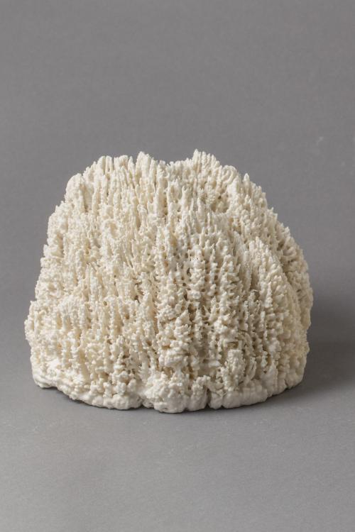 “Biota #114,” 2012, Porcelain, 6.5 × 6.5 × 5 Inches