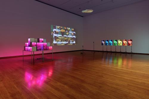 (From left to right:) “Astroculture (Eternal Return),” 2015, Galvanized steel cubes, plastic containers, red and blue LED lights, plants, water, soil and no pesticides, overall dimensions: 6 × 6 × 6’ (42 × 14 × 14″ each set.)  “Genetic Seed Bank,” 2007,	 Single-channel video (color, silent). 1:00 min. looped   “Angle of Inclination,” 2013, Time-lapse animation (color, silent). 1:09 min. lopped. Ceiling video projection, approx. ø 30 inches  “Palette,” 2018 (2014), 7-channel video installation, painted...