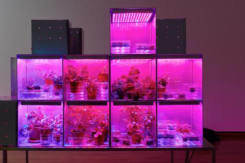 “Astroculture (Eternal Return),” 2015, Galvanized steel cubes, plastic containers, red and blue LED lights, plants, water, soil and no pesticides. Edition of 2 + 1 AP, Overall dimensions: 6 x 6 x 6 feet (42 x 14 x 14 inches each set.)