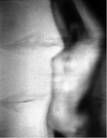 "sub rosa Series: sub rosa, no. 8,"  1997, Silver Gelatin Print,  Edition of 17, 16 x 12 Inches