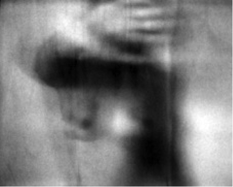 "sub rosa Series: sub rosa, no. 7," 1997, Silver Gelatin Print,  Edition of 17, 13 x 16 Inches
