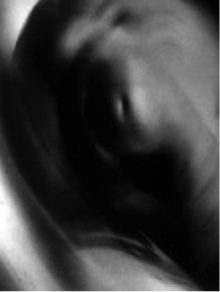 "sub rosa Series: sub rosa, no. 6," 1997, Silver Gelatin Print, Edition of 17, 16 x 12 Inches