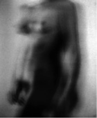"sub rosa Series: sub rosa, no. 13," 1997, Silver Gelatin Print,  Edition of 17, 16 x 13 Inches