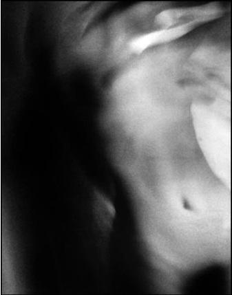 sub rosa Series: "sub rosa no. 5," 1997, Silver Gelatin Print, Edition of 17, 16 x 12.75 Inches